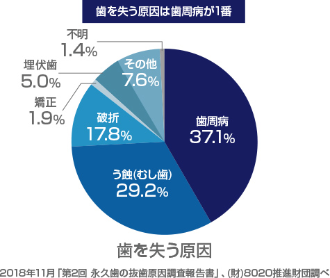 歯を失う原因は歯周病が１番　説明グラフ